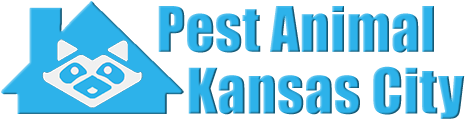 Kansas City Wildlife and Animal Removal